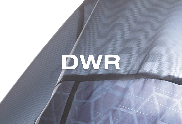 DWR