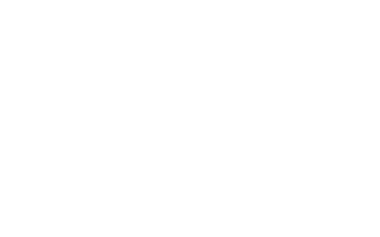 ICE DAY COLLECTION