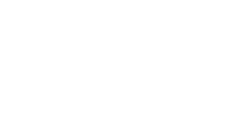 ICE DAY COLLECTION