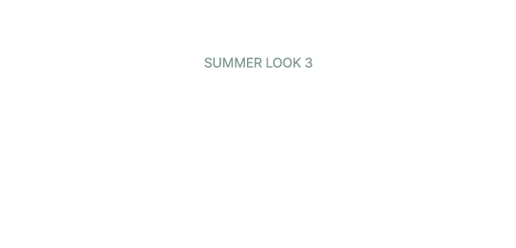 SUMMER EXPLORER
