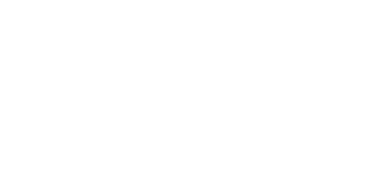 짧을수록 선명해지는 여름