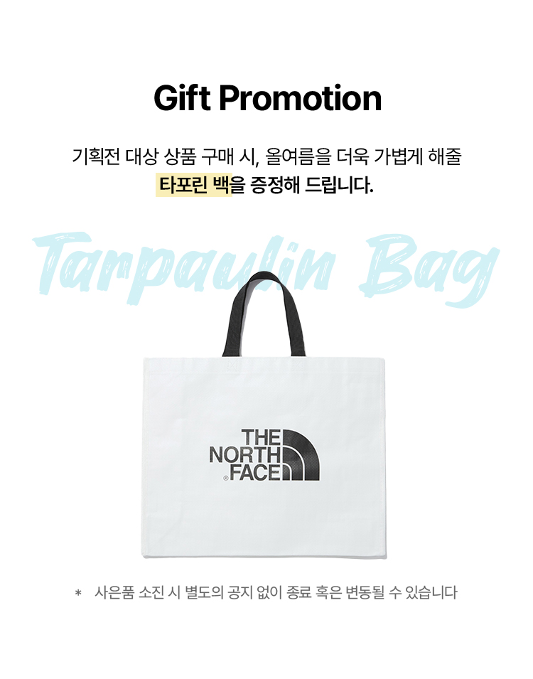 짧을수록 선명해지는 여름