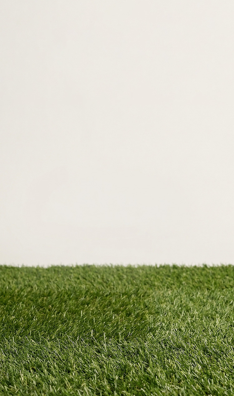 DAYCAMP WHEELER DUFFEL