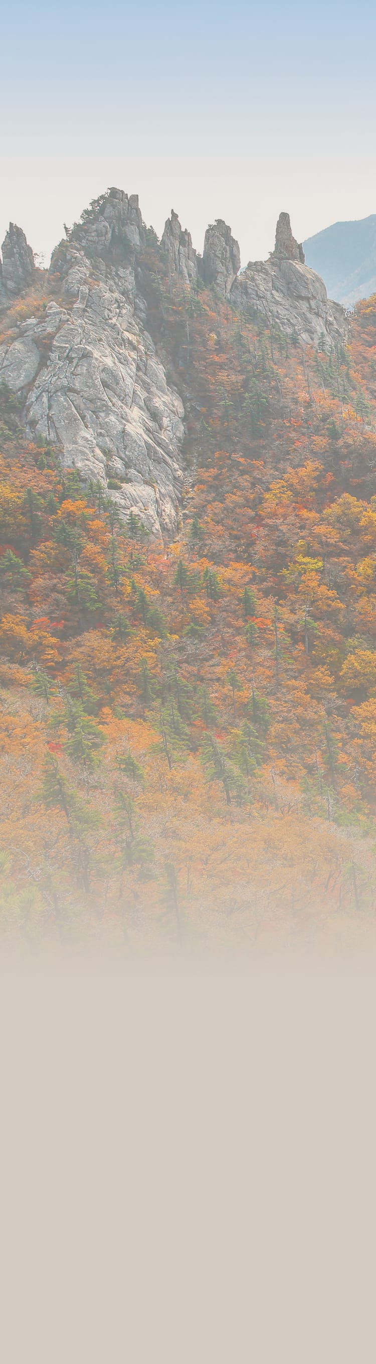 가을 산행 아이템​
