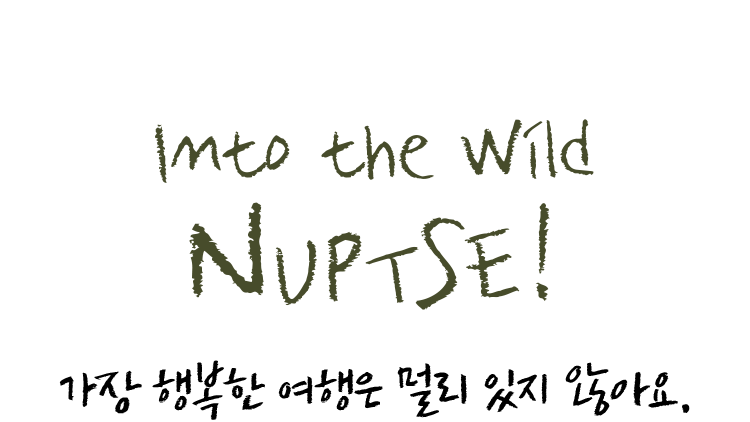 김나영 엘르 패밀리