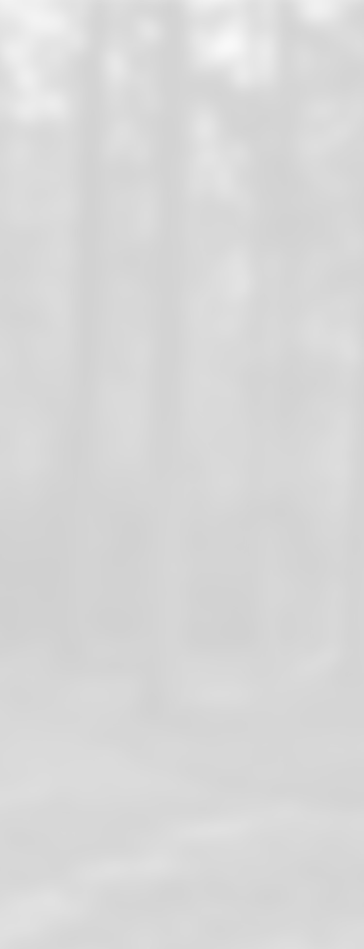 김나영 엘르 패밀리