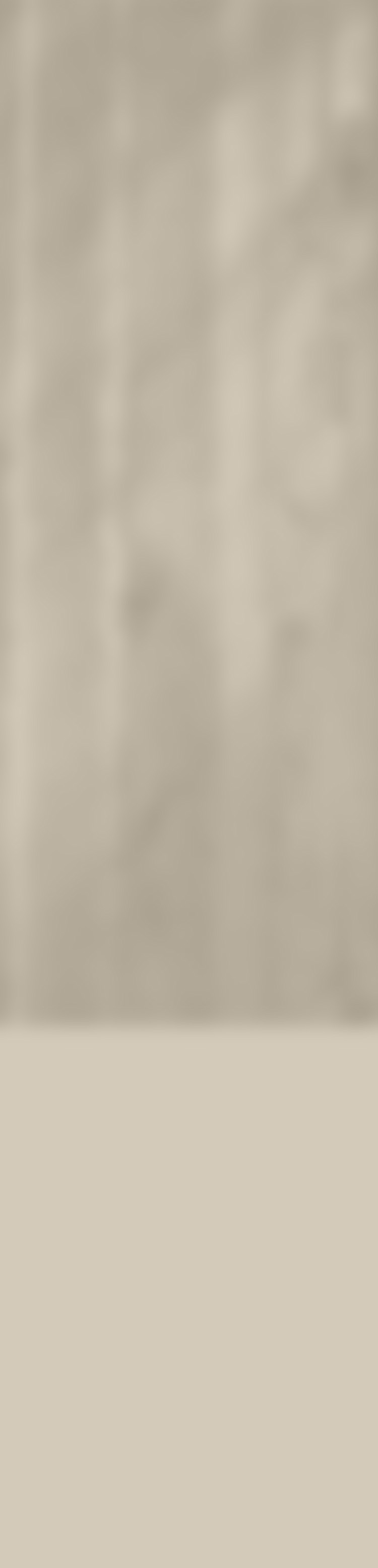 김나영 엘르 패밀리