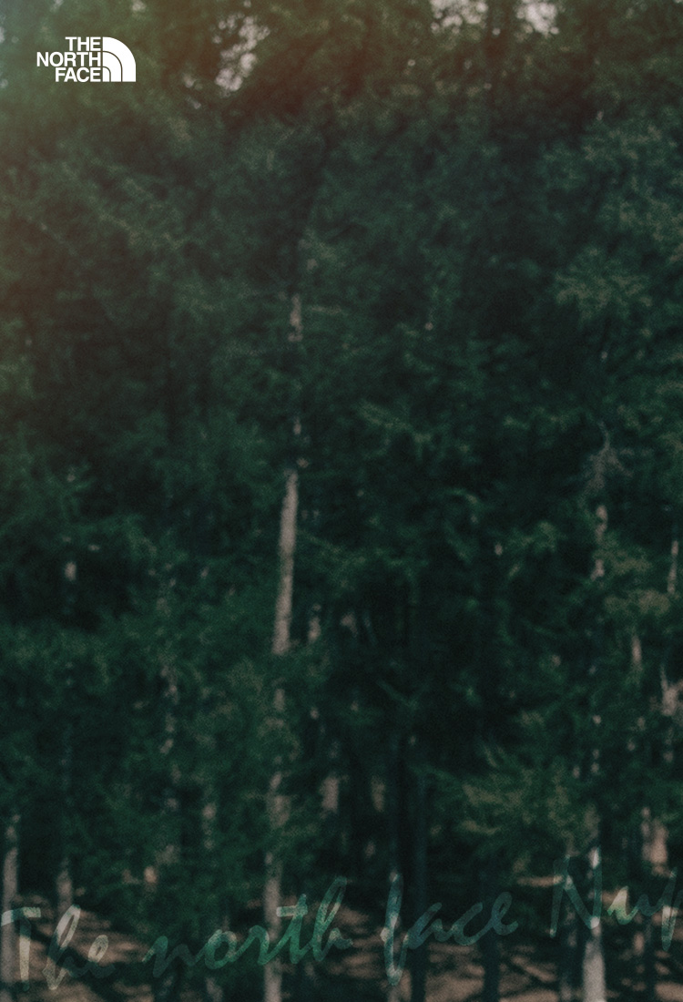 김나영 엘르 패밀리