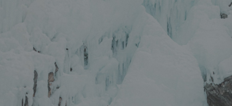 2025 FW ONLINE LIMITED ITEM