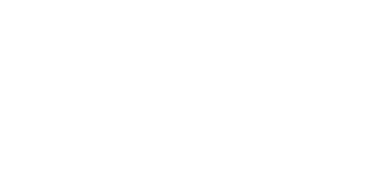 2025 FW ONLINE LIMITED ITEM