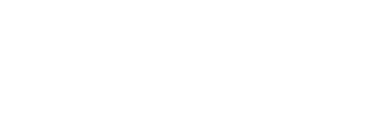 2025 FW ONLINE LIMITED ITEM