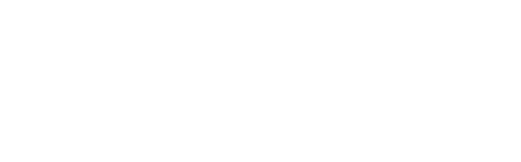 2025 FW ONLINE LIMITED ITEM