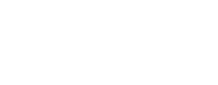 2025 FW ONLINE LIMITED ITEM