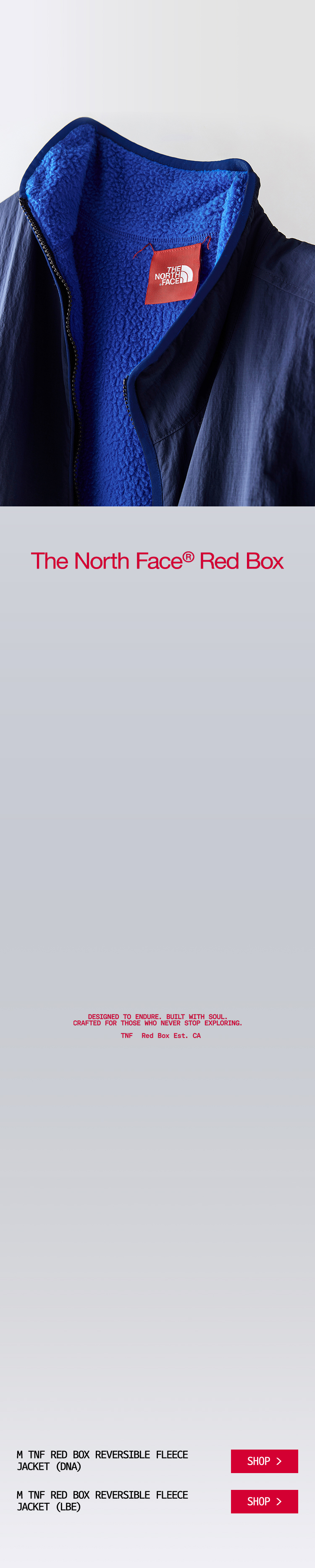 THE NORTH FACE RED BOX