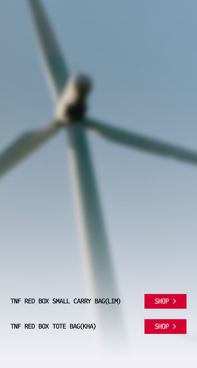 THE NORTH FACE RED BOX