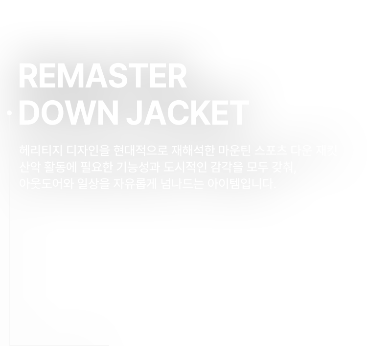 REMASTER DOWN JACKET