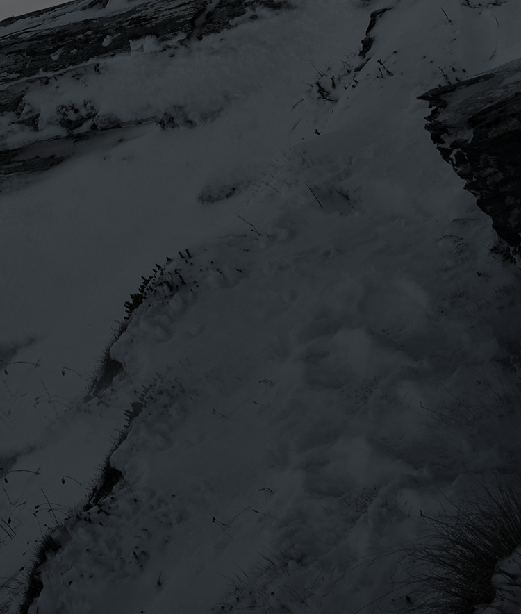 REMASTER DOWN JACKET