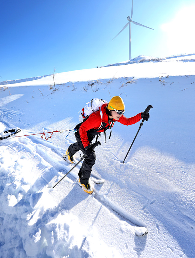 SUMMIT SERIES COLLECTION