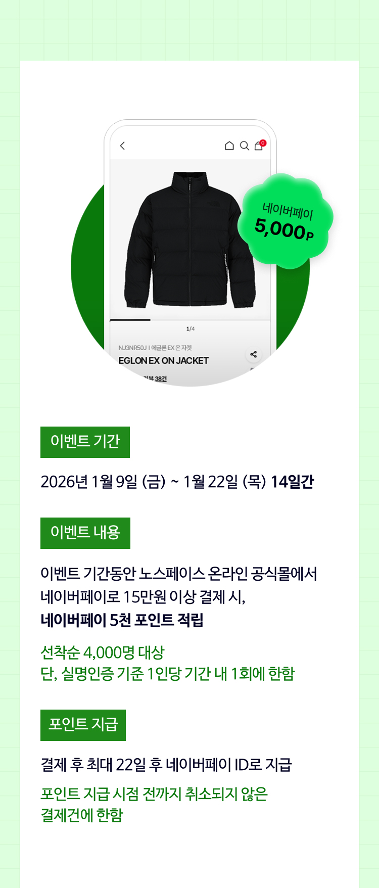 윈터페스타 네이버페이 프로모션