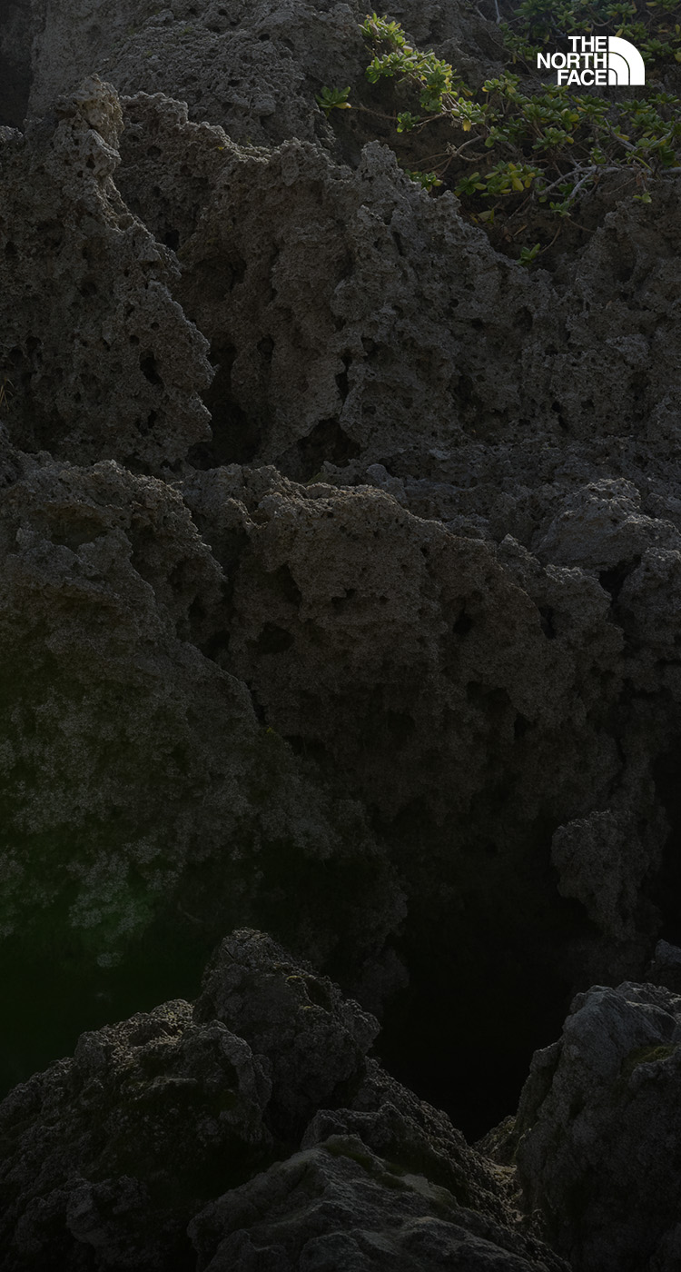 LIGHT LAYERS, BLOOMING