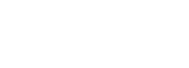 LIGHT LAYERS, BLOOMING