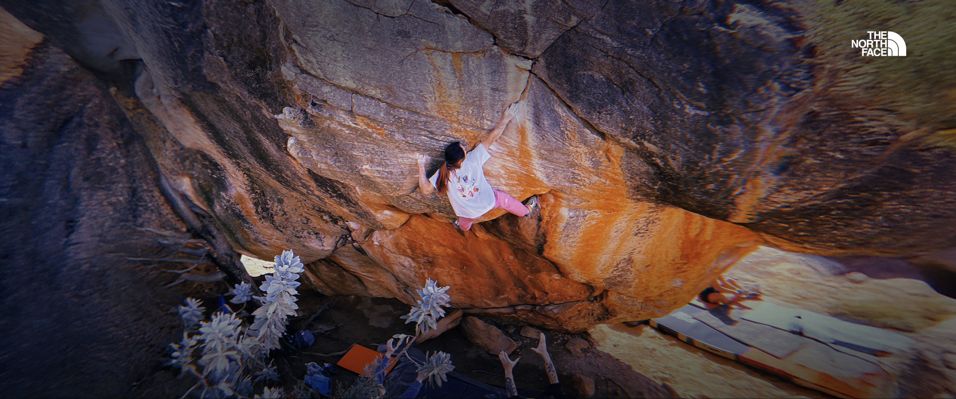 FIND YOUR NEXT CHALLENGE