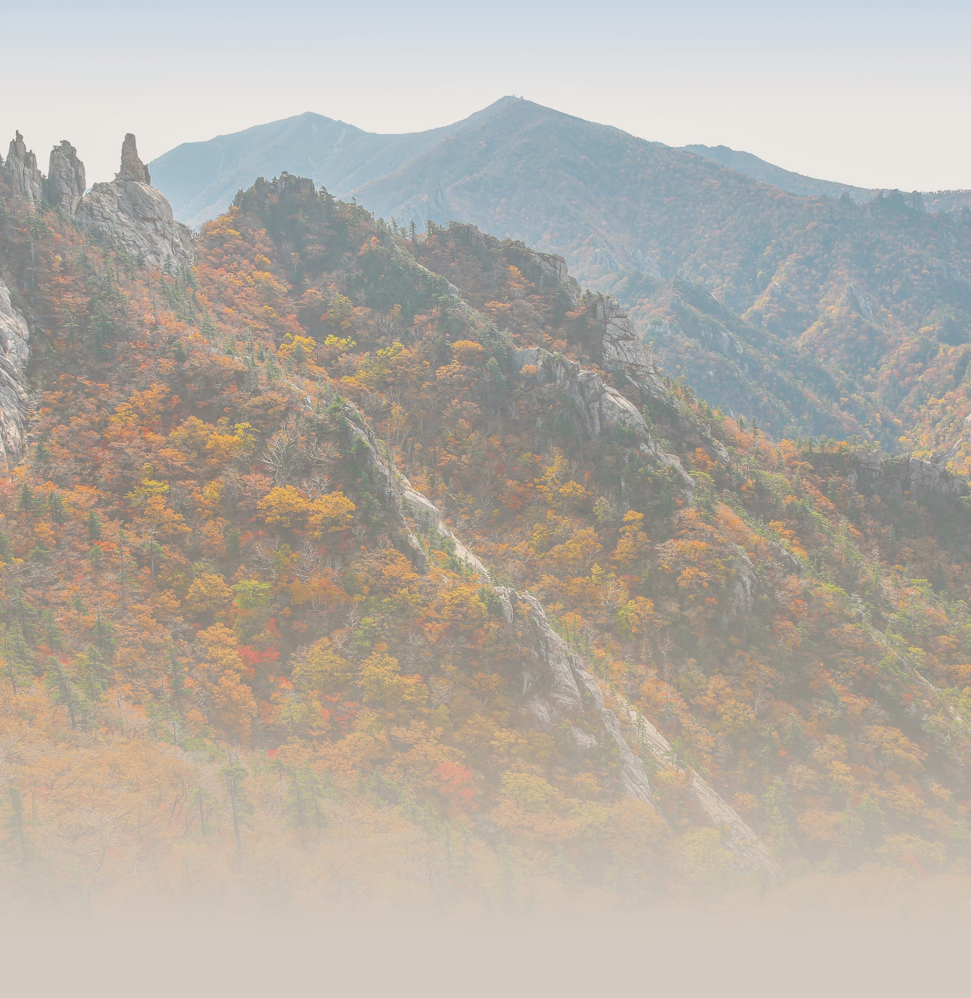 가을 산행 아이템​
