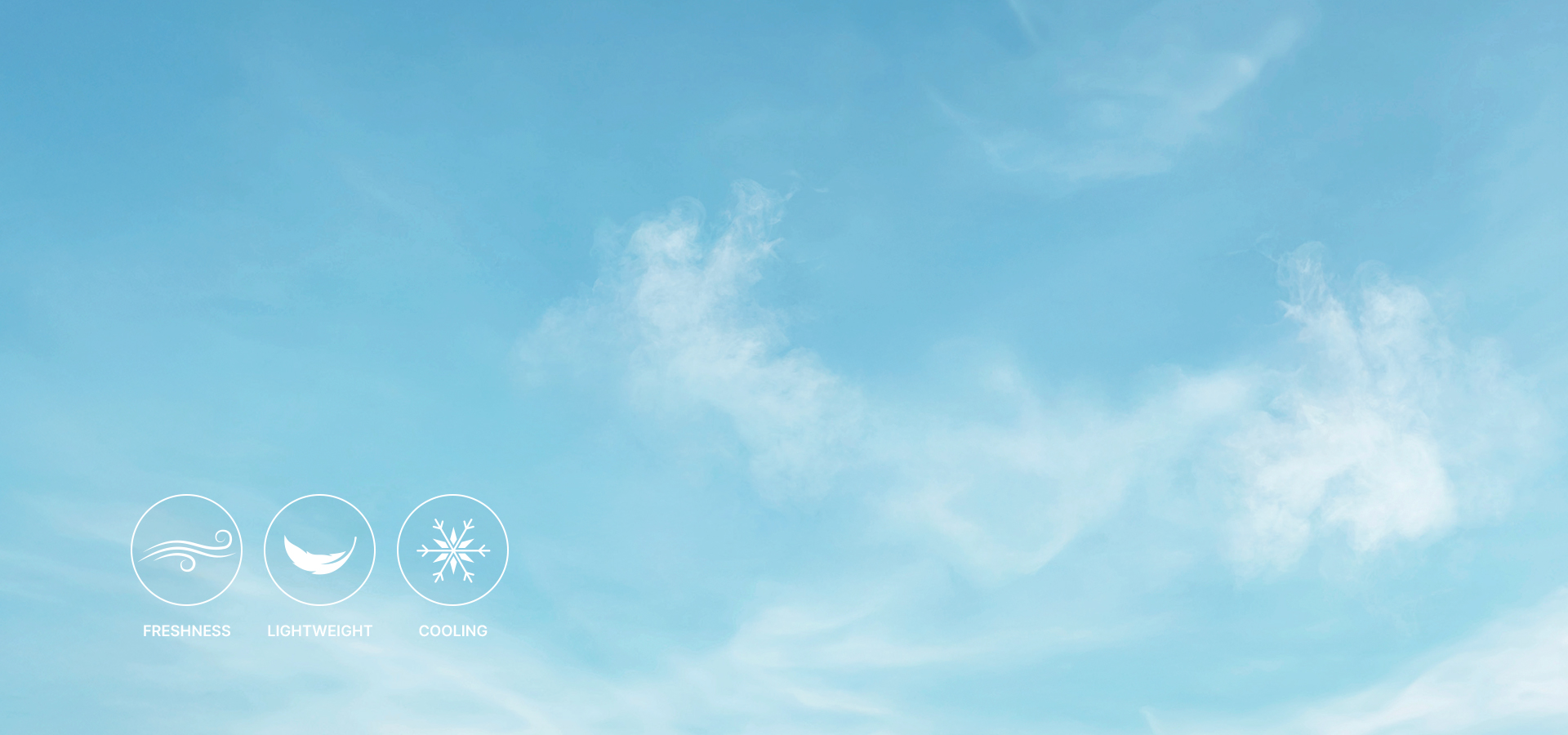 ICE DAY COLLECTION