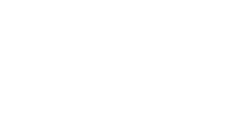 ICE DAY COLLECTION