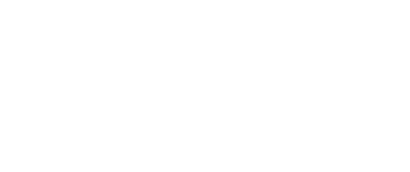 ICE DAY COLLECTION