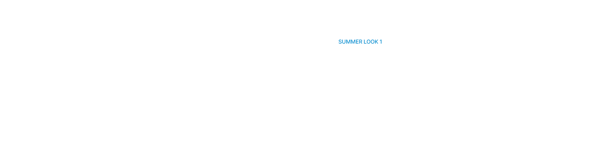 SUMMER EXPLORER
