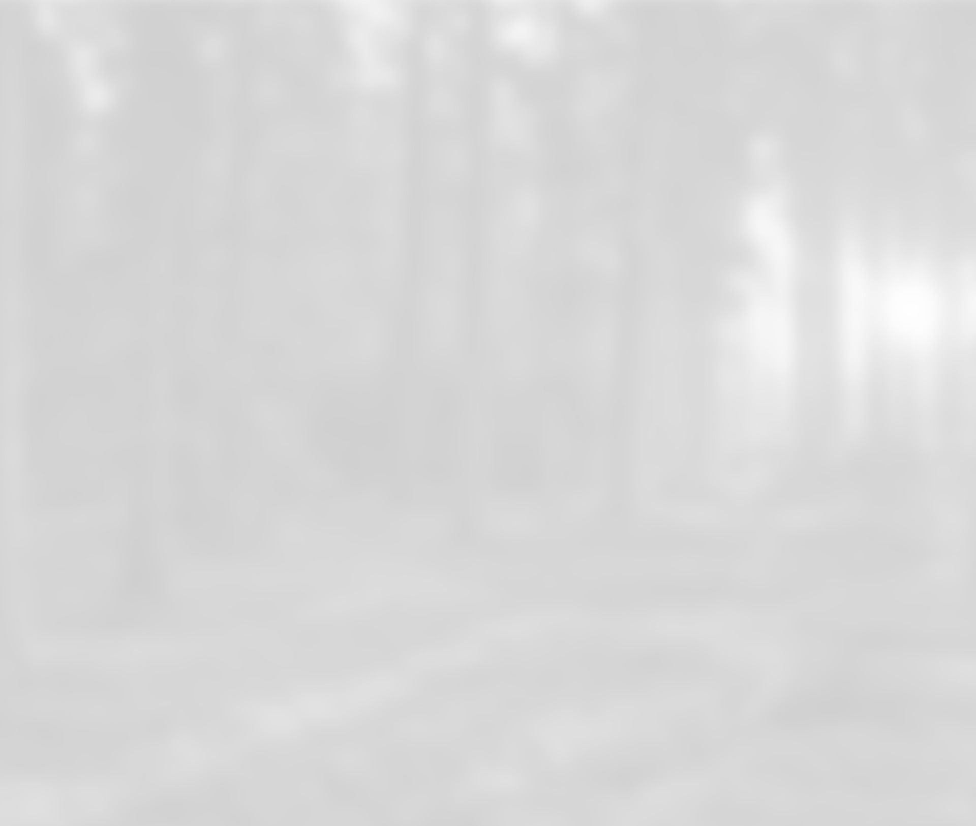 김나영 엘르 패밀리