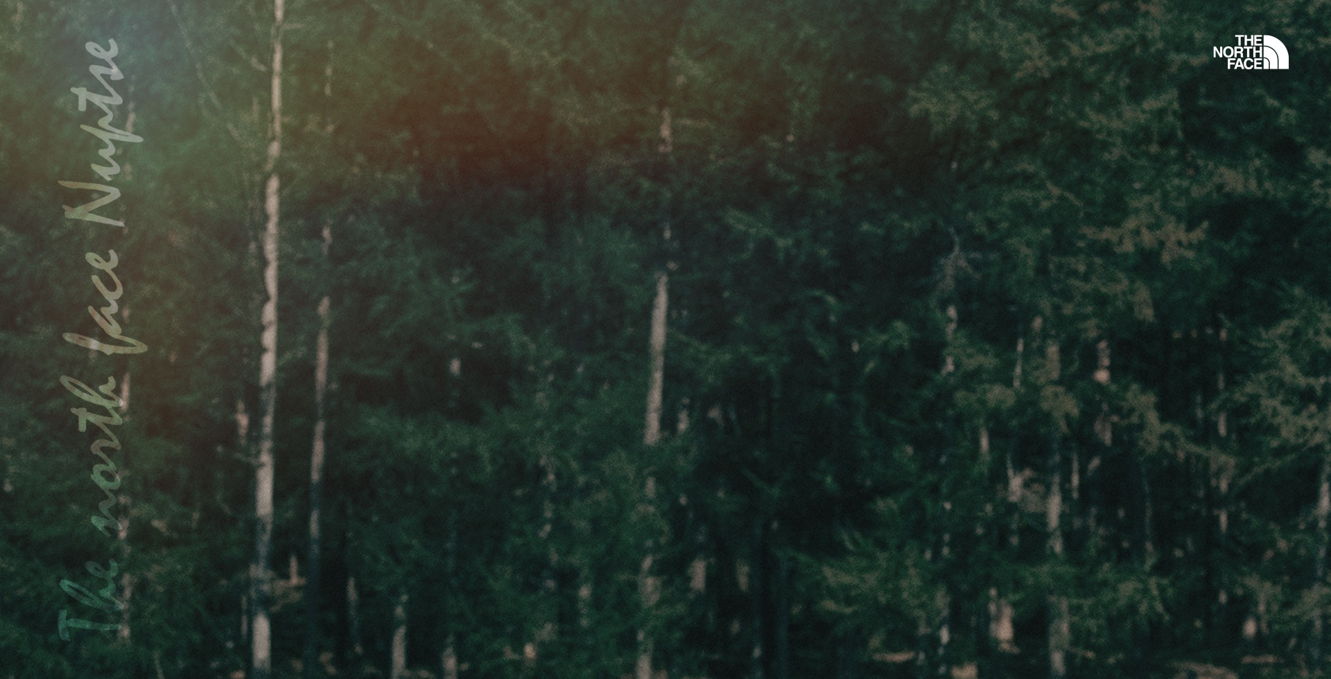 김나영 엘르 패밀리