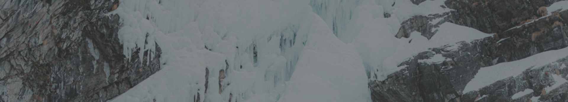 2025 FW ONLINE LIMITED ITEM