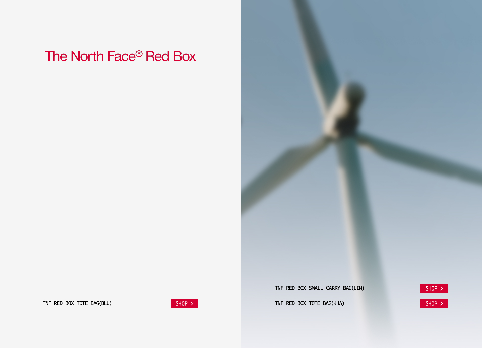 THE NORTH FACE RED BOX