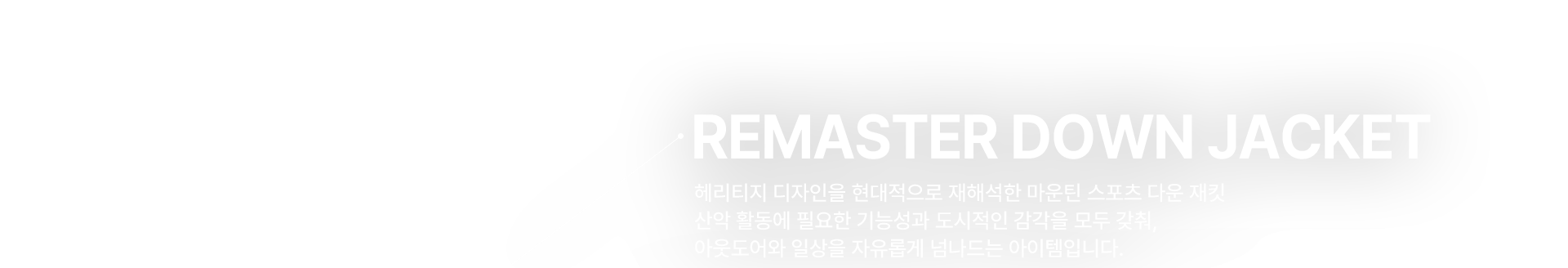 REMASTER DOWN JACKET