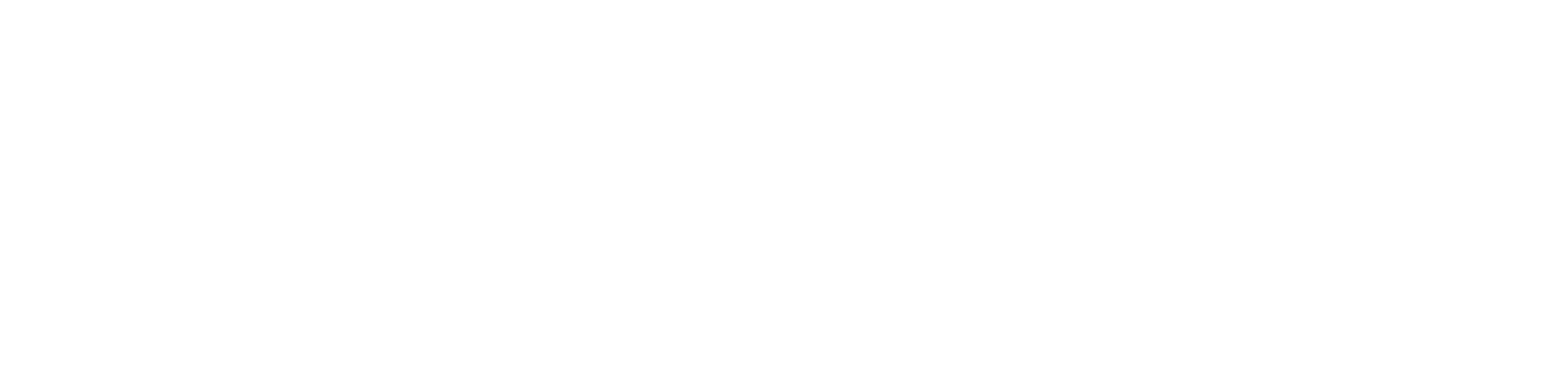 짧을수록 선명해지는 여름