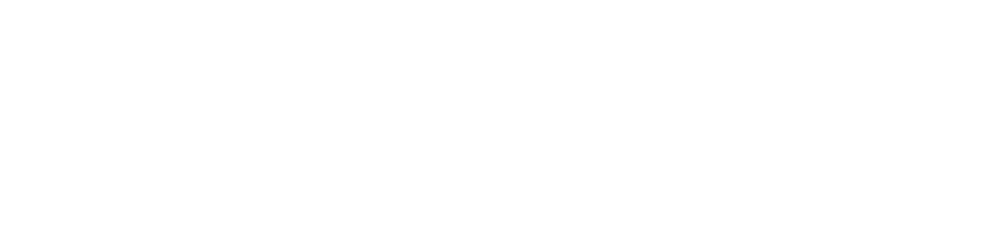 짧을수록 선명해지는 여름