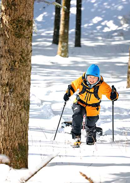 SUMMIT SERIES COLLECTION