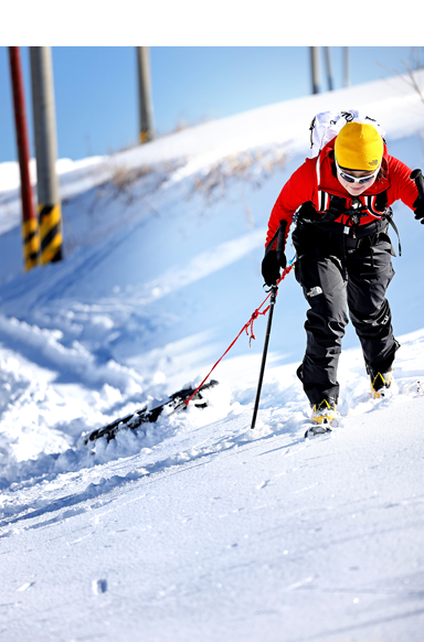 SUMMIT SERIES COLLECTION