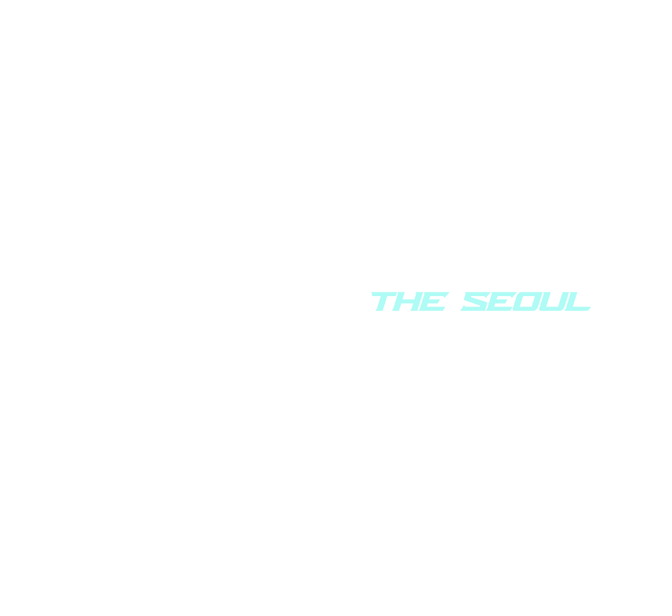 RUN THE SEOUL RHYTHM