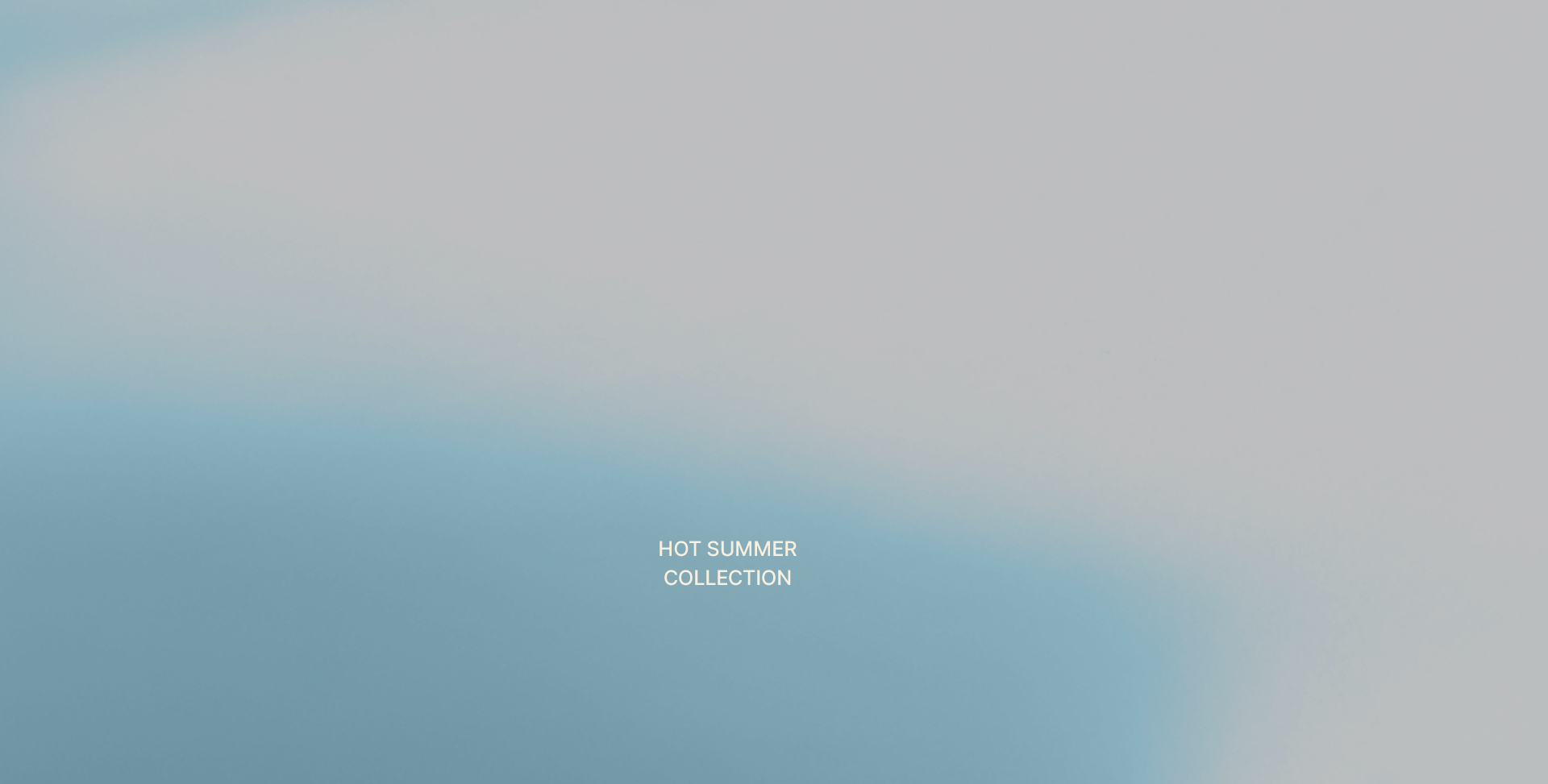 OUR SUMMER STORY