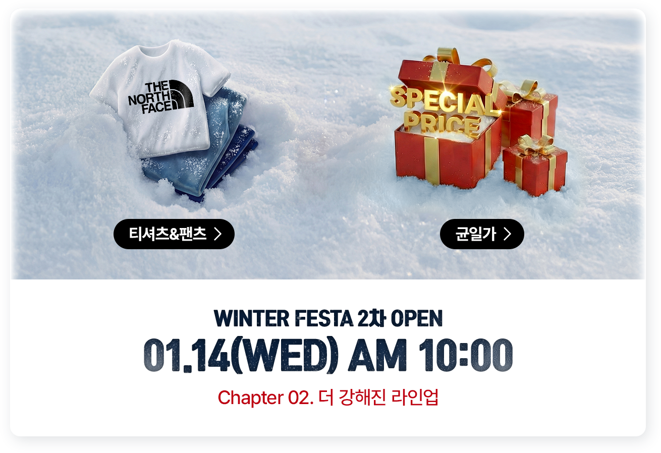Winter Festa