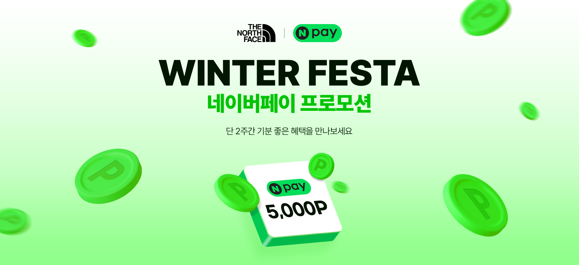 윈터페스타 네이버페이 프로모션
