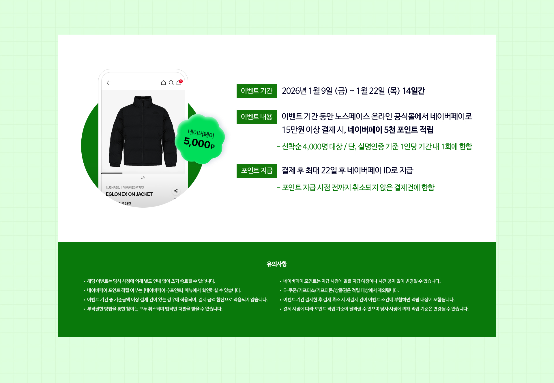 윈터페스타 네이버페이 프로모션