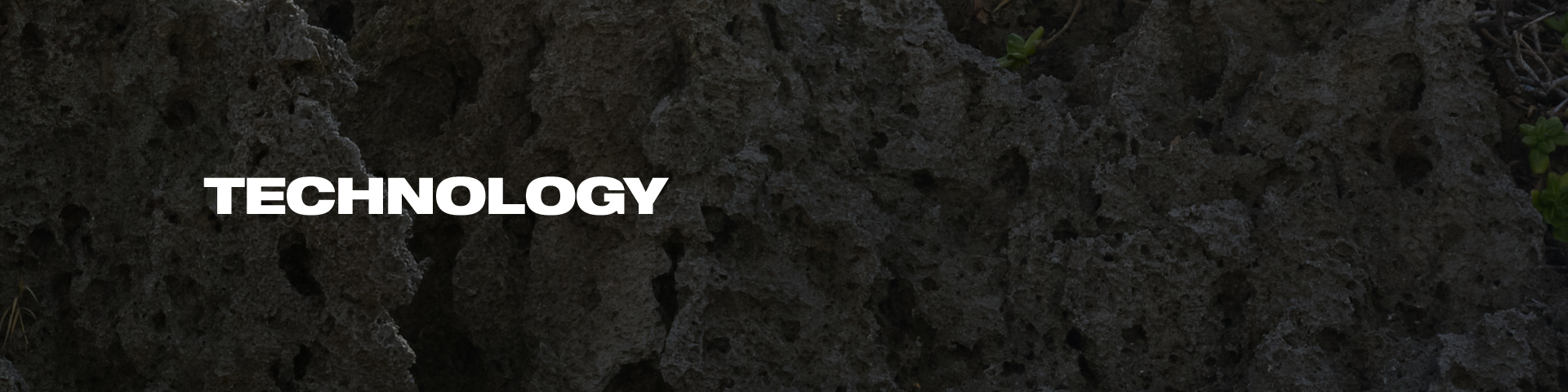 LIGHT LAYERS, BLOOMING