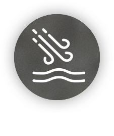 LIGHT LAYERS, BLOOMING