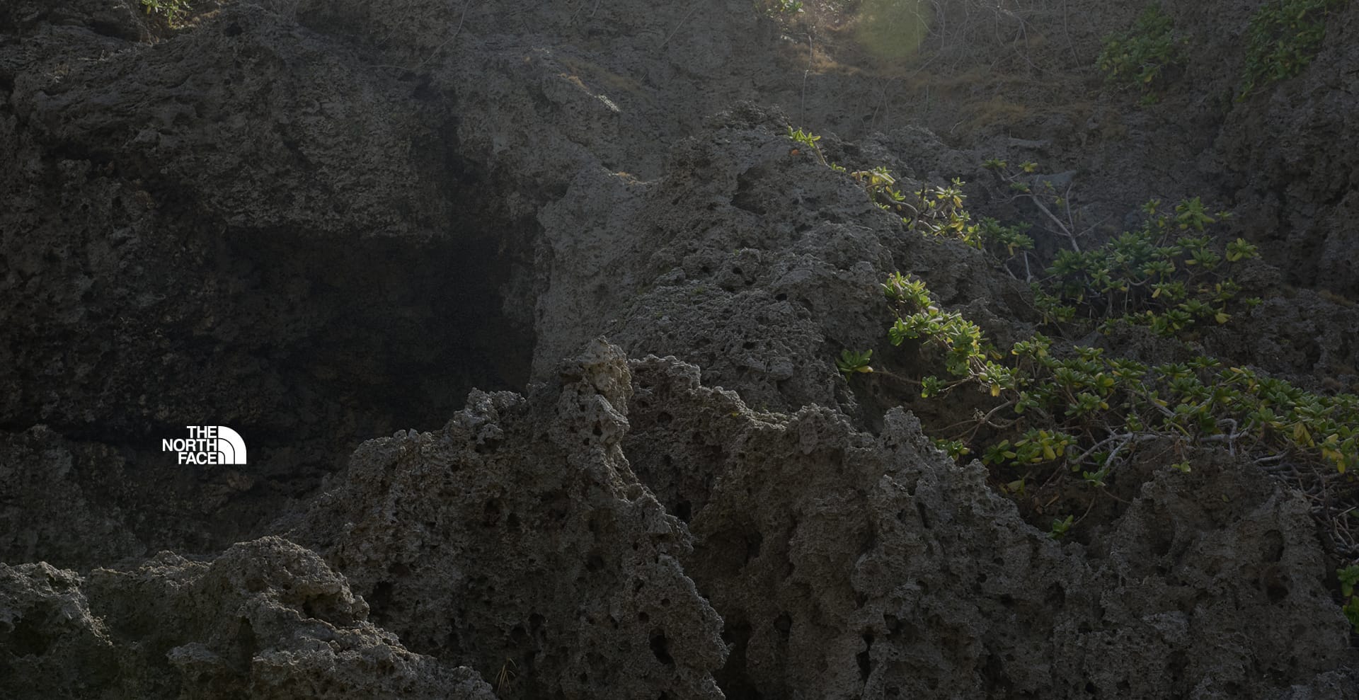 LIGHT LAYERS, BLOOMING