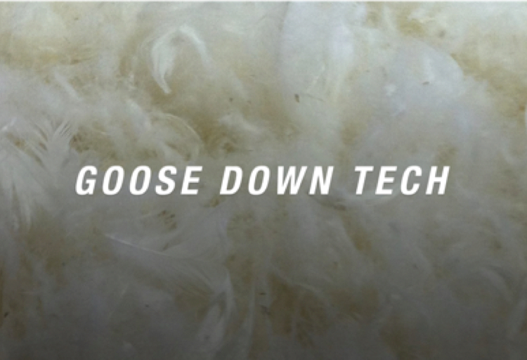 GOOSE DOWN FILL