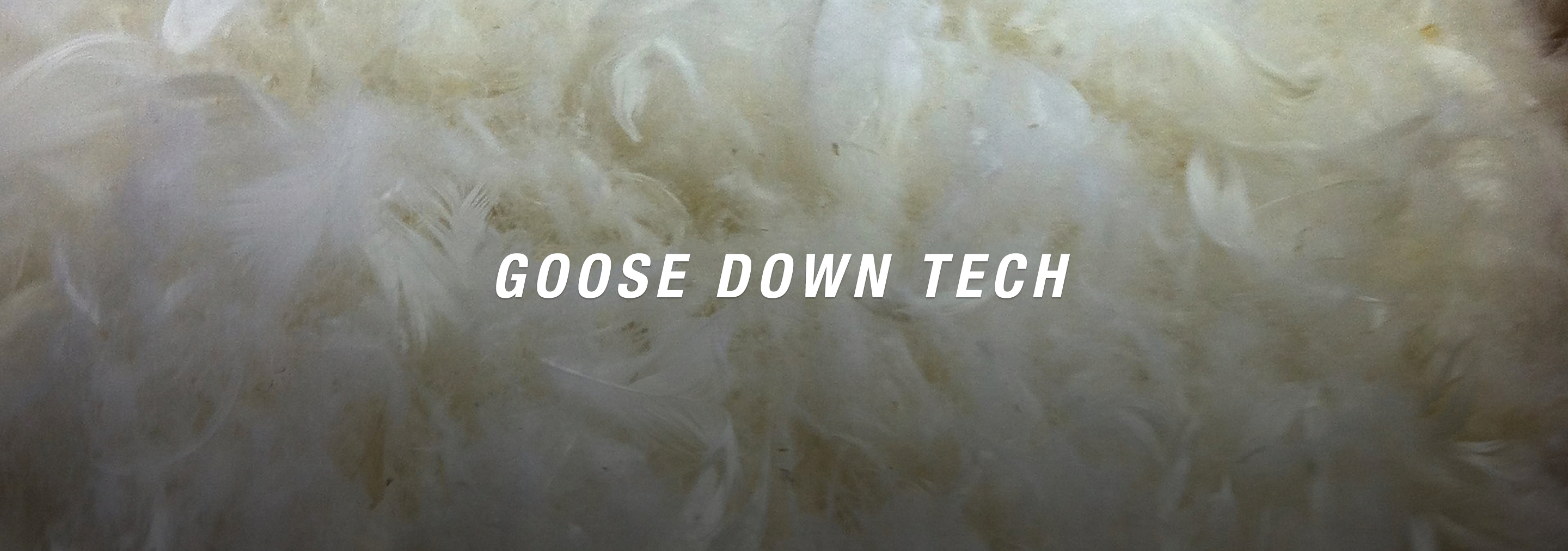 GOOSE DOWN FILL